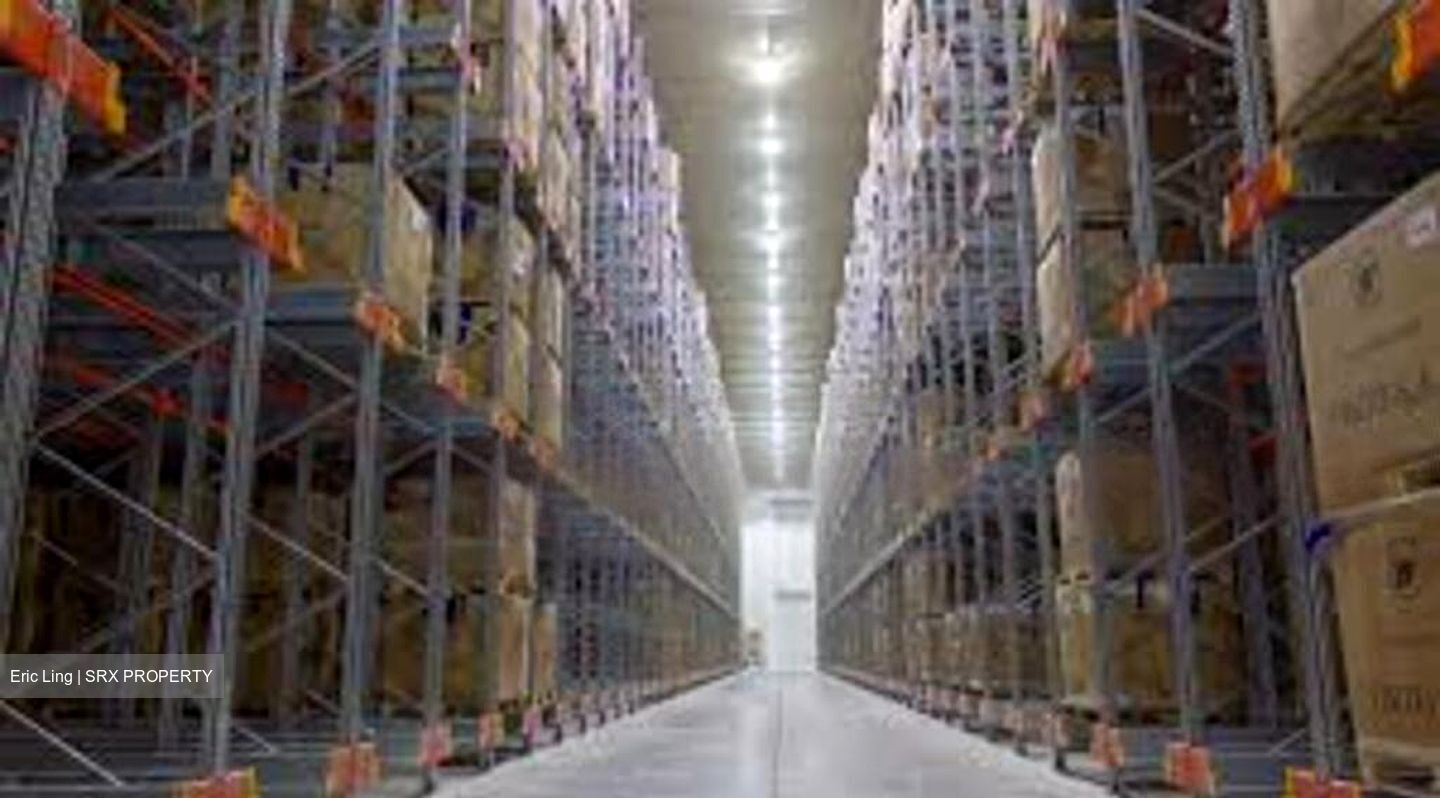 PAN ASIA LOGISTICS PARK TUAS (D22), Factory #531621871